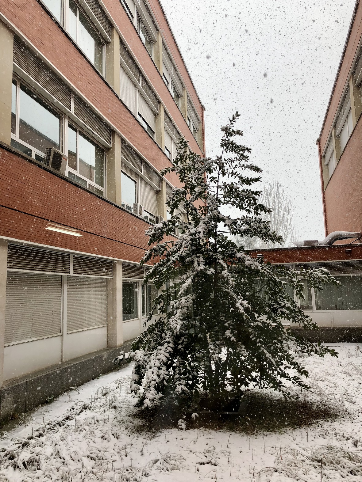 Snow at the School of Geografía e Historia UCM