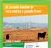 III Jornada Anembe de vaca nodriza y ganado bravo.