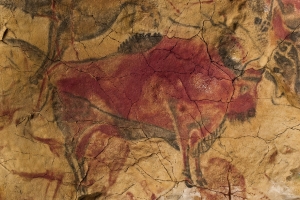 8 pintura rupestre bisonte de la cueva de altamira_35000 a c 