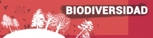 web biodiversidada