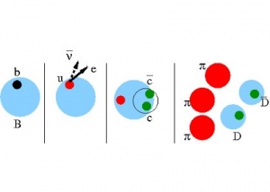 Particle decays