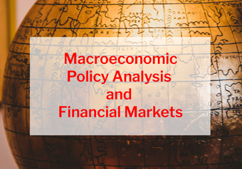 Macroeconomic Policy Analysis and Financial Markets