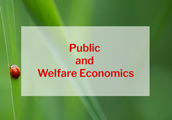 Public and Welfare Economics