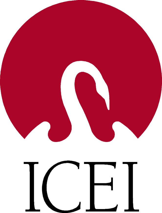 logo-icei