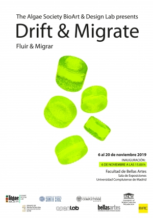 Drift & Migrate / Fluir y Migrar