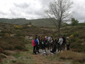 Afloramiento de areniscas asfálticas (Aptiense-Albiense) de Basconcillos del Tozo (Burgos)