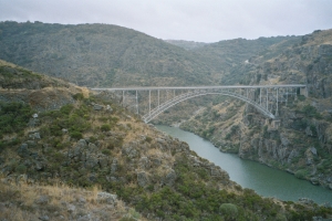 Puente Pino o Puente de Requejo, Zamora