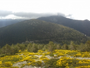 Cerro Minguete, Puerto de la Fuenfría