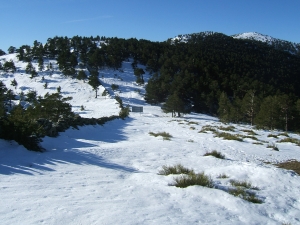 Fuenfría, Cerro Minguete
