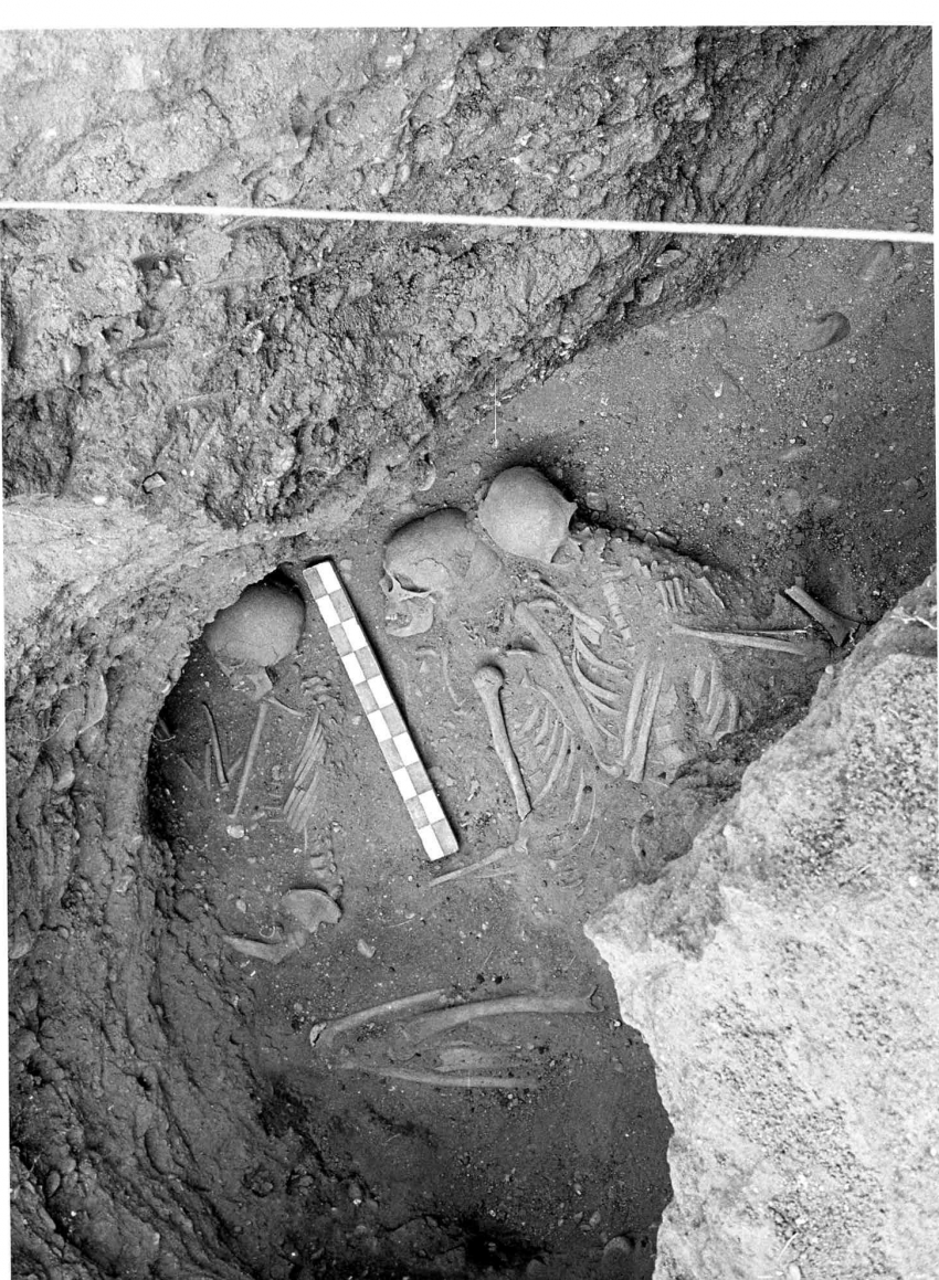 Enterramiento triple del Bronce Tardío en La Requejada (San Román de Hornija, Valladolid). / Germán Delibes.