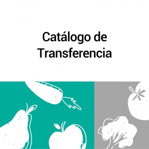 Catálogo de transferencia