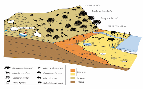 Reconstrucción del paisaje de los alrededores del yacimiento de Corral de Lobato durante el Mioceno Superior. / Sanz Pérez D. et al. (2020)