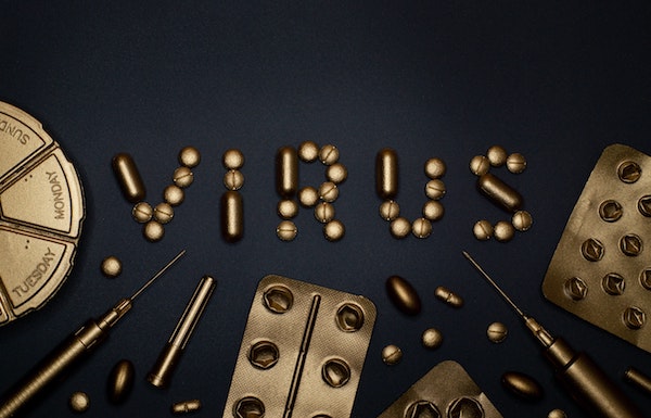 El virus del Ébola y el SARS-CoV-2 son dos virus zoonóticos.  / Miguel Á. Padriñán.  