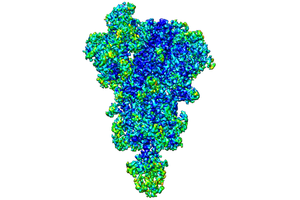 Reconstrucción en 3D de la proteína spike del SARS-CoV-2. / Javier Vargas.