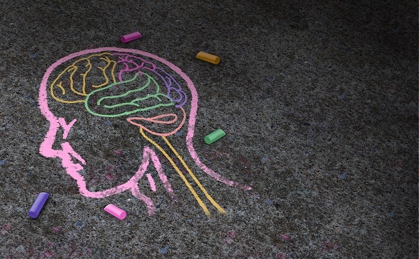 El nicho neurogénico subventricular es una región del cerebro. / Shutterstock. 