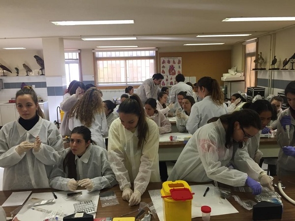 Una clase de estudiantes de la Comunidad de Madrid en plena investigación. / MicroMundo