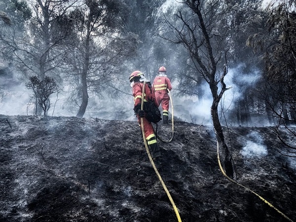 Incendio forestal en Añón de Moncayo (Zaragoza). / Unidad Militar de Emergencias.