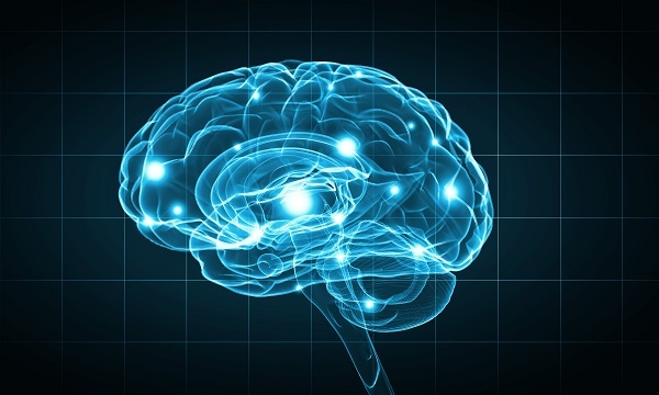 La nueva tecnología  podría abordar el tratamiento de patologías del cerebro relacionadas con procesos inflamatorios o neurodegenerativos. / Shutterstock. 