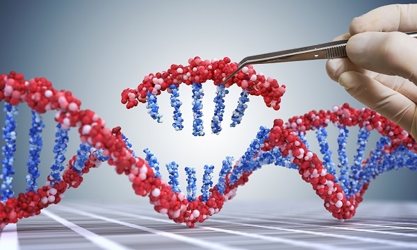 La tecnología CRISPR es una de las estrategias más efectivas según el estudio. /  Shutterstock.