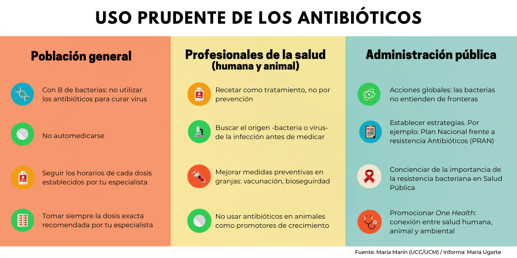 Infografía con propuestas de acción para tres colectivos de la sociedad. / Elaborado por María Marín a partir de las respuestas de María Ugarte Ruiz.