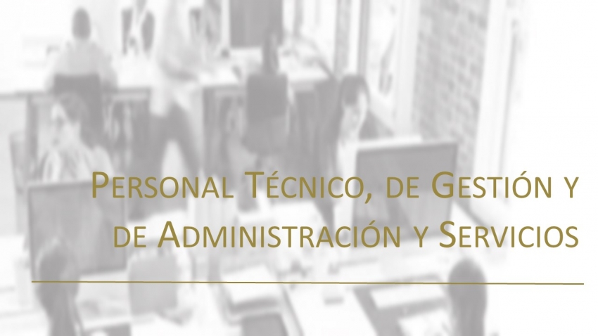 Personal de administración y servicios