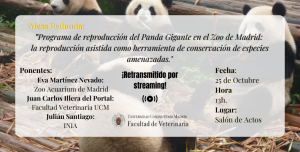 panda web (3)
